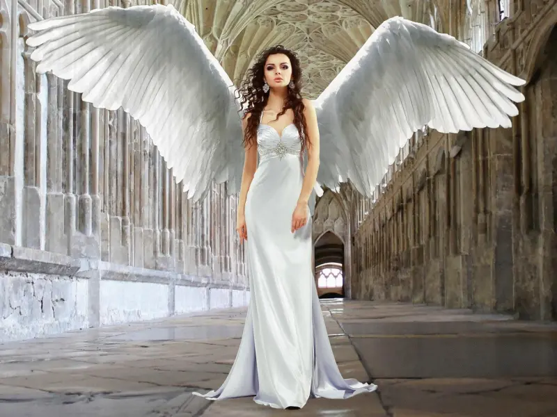 该如何挽回回避型人格的恋人