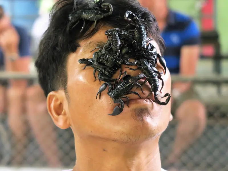 怎么挽回天蝎座女友：教你搞定天蝎座女友的必杀技