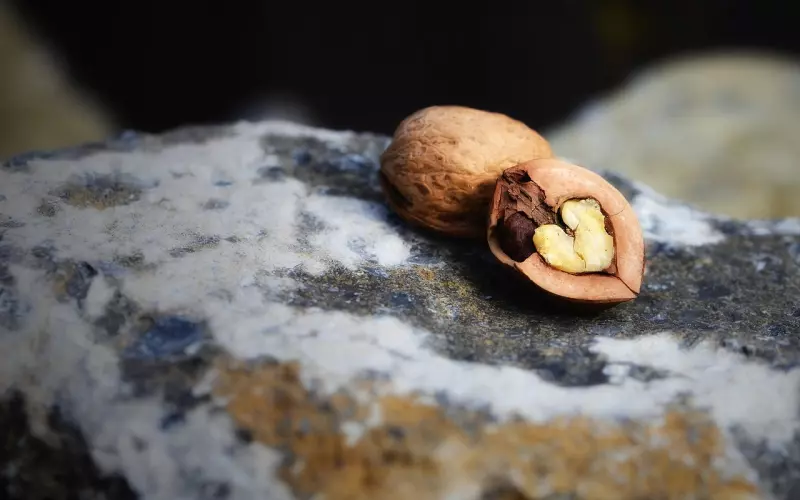 如何挽回心软的男友