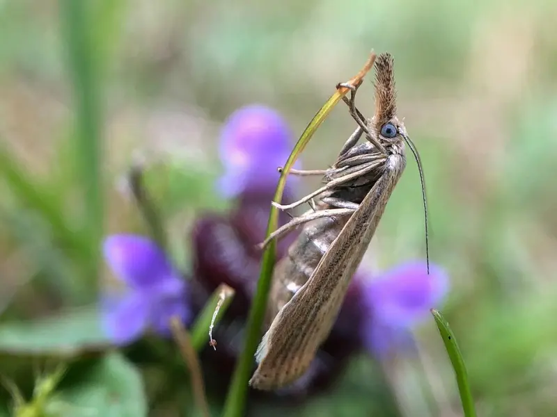 怎么挽回金牛老公：情感专家分享挽留出轨老公的方式