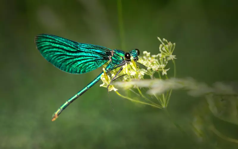 怎么挽回处女座男生？教你正确挽回男友的方法