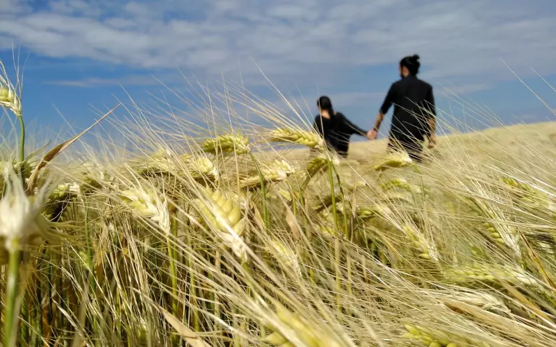 怎么挽回处女座男友，处女有严重的感情洁癖，追求单纯美好的爱
