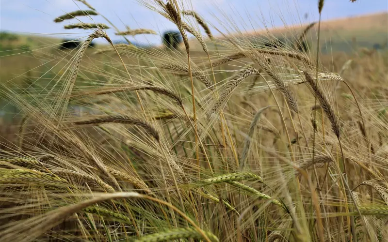 怎么挽回处女座男友？处女座男人很重视沟通