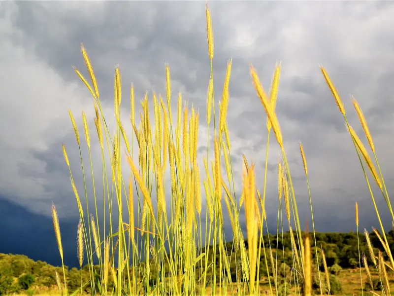 怎么挽回处女座男友：跟处女座男友吵架冷战怎么办？该怎么挽回？