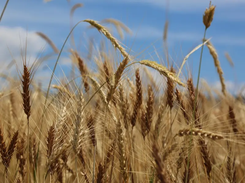怎么挽回处女座女友：教你一个简单地方法挽回爱情，挽回处女座女友
