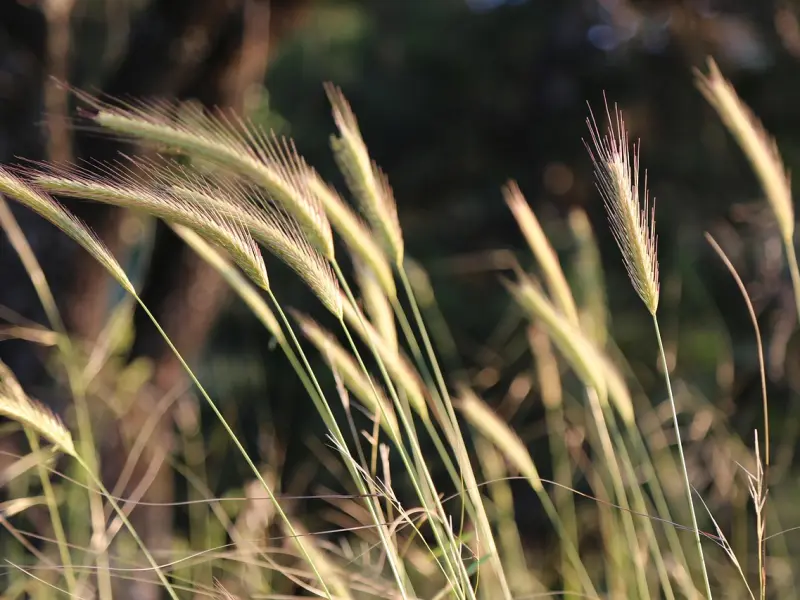 如何挽回处女座女朋友：这几点你最应该做到