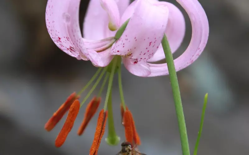 如何挽回女人的心：女友有分手的举动，该如何做让她打消分手的念头？