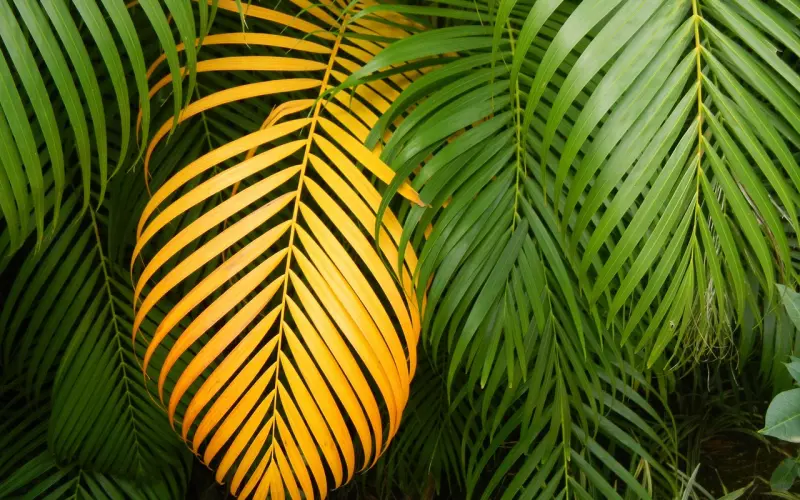 怎么挽回水瓶座男友？晓之以情动之以理的引诱他