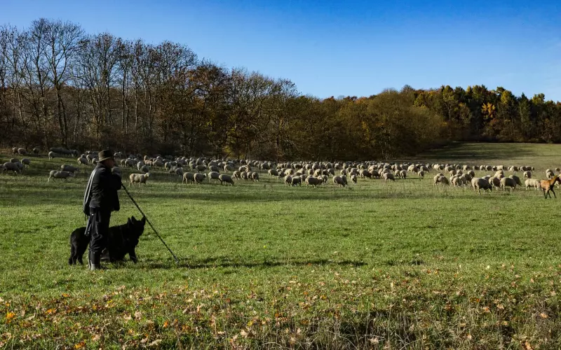 挽回白羊男之白羊男执意分手该怎么挽回