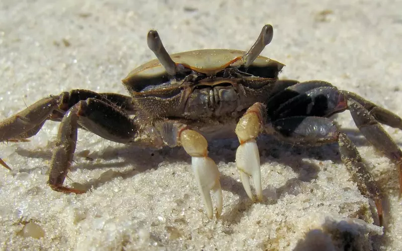 如何挽回男朋友的心，她用了三招