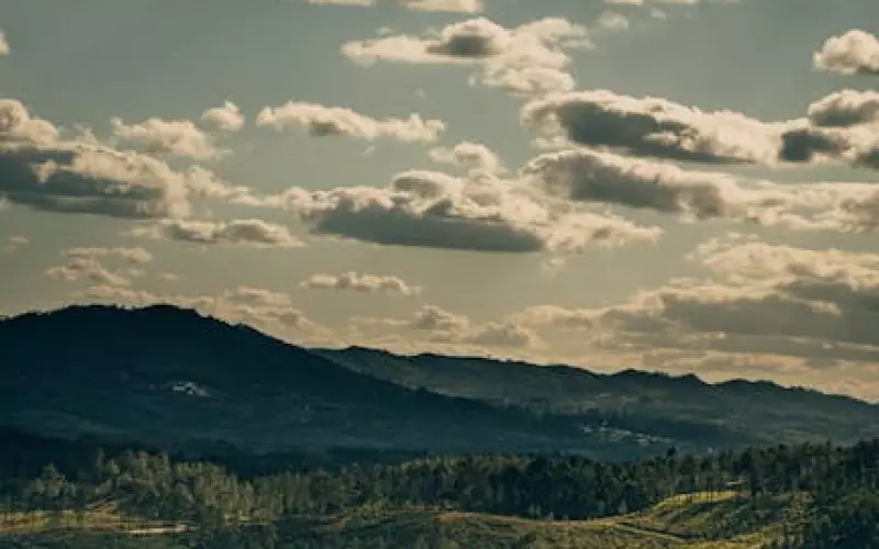 失恋了怎么才能挽回他的心(失恋了两个人都挺痛的该怎么挽回)