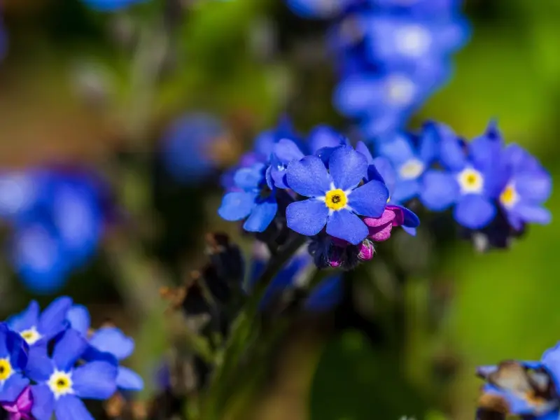 如何挽回男友的心：觉得男友忘不了前任，我该怎么做让男友爱上我
