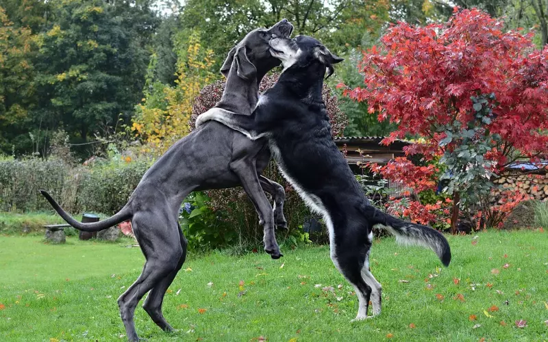 如何挽回一个对你死心的人？两招挽回死心分手的前任