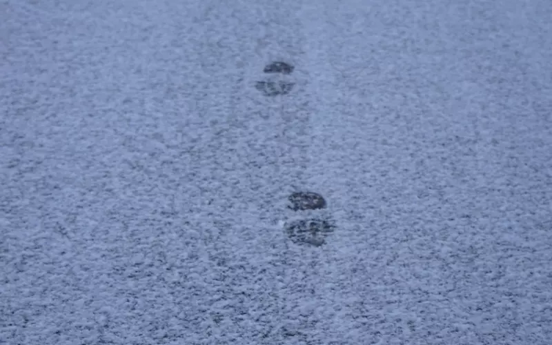 如何挽回对自己没感觉的人