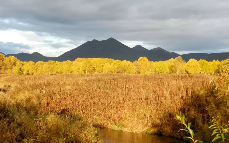 如何挽回一个对你死心的人呢