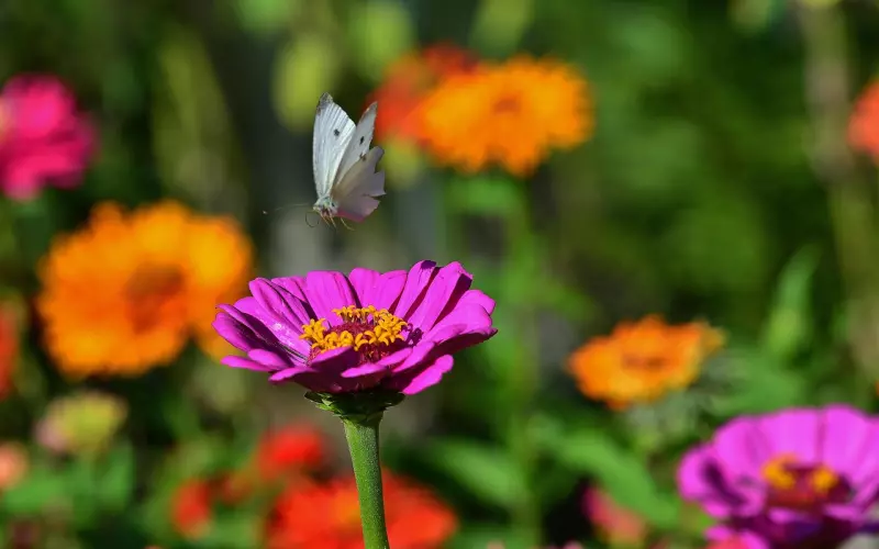 挽回方法：挽回狠心男朋友最好的方法