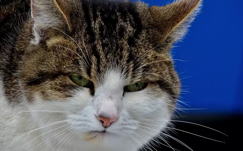 如何挽回坏脾气的老公的心，让感情更甜蜜