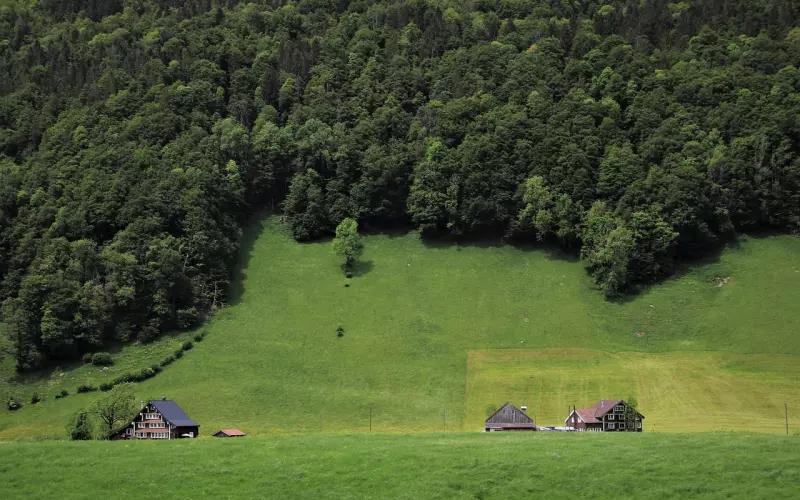 忘不掉小三的老公，该怎么挽回？