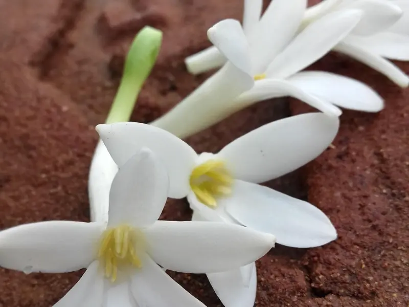 如何挽回那个不愿意回家的男人？