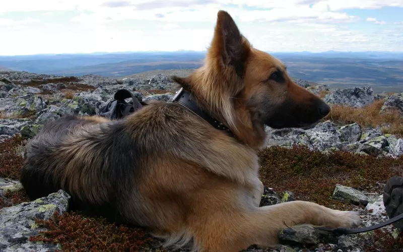 怎么挽回朋友兼舍友的老婆？教你几招