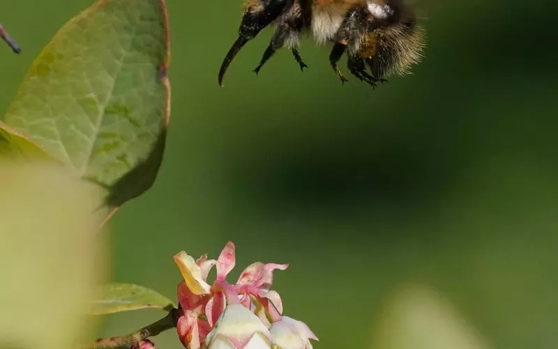 挽回方法：分手之后有哪些方法可以挽回男朋友的心
