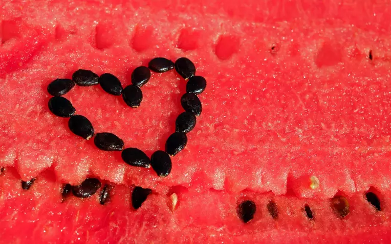 如何挽回男友的心，重获幸福的爱情