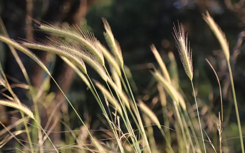 分手怎么挽回男朋友？如何挽回和处女座前任的爱情