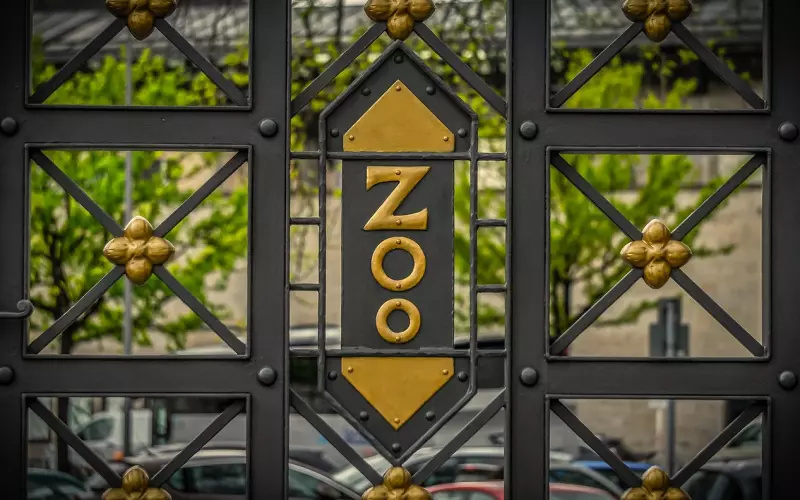 如何挽回男友：巧用攻心术挽回男友的三大技巧