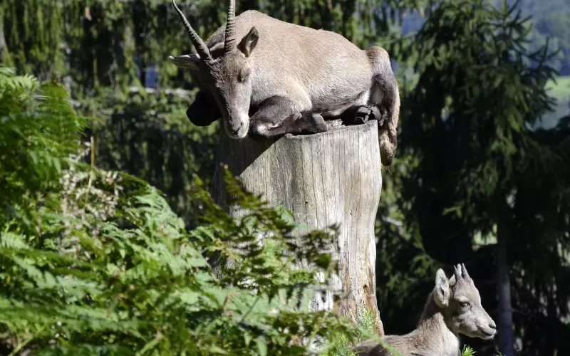 怎么样挽回男友的心 ，与摩羯男友分手后快速挽回的机会，你把握住了吗