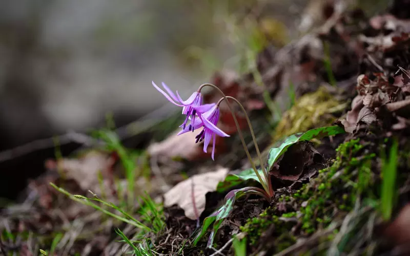 如何挽回男友：想挽回男朋友该怎么做，教你如何挽回恋情