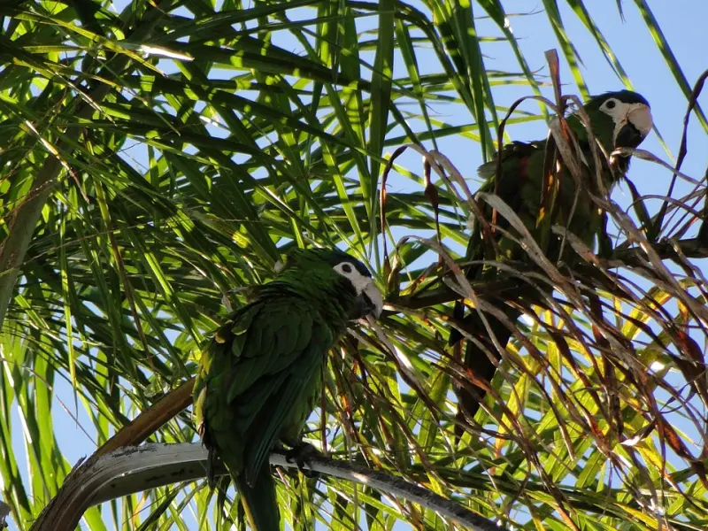 如何挽回男友的心之挽回失去的爱情