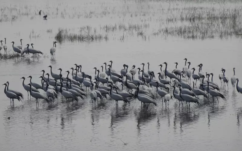 如何挽回男朋友的心之挽回处女座的绝招，让处女座男友回头的秘籍
