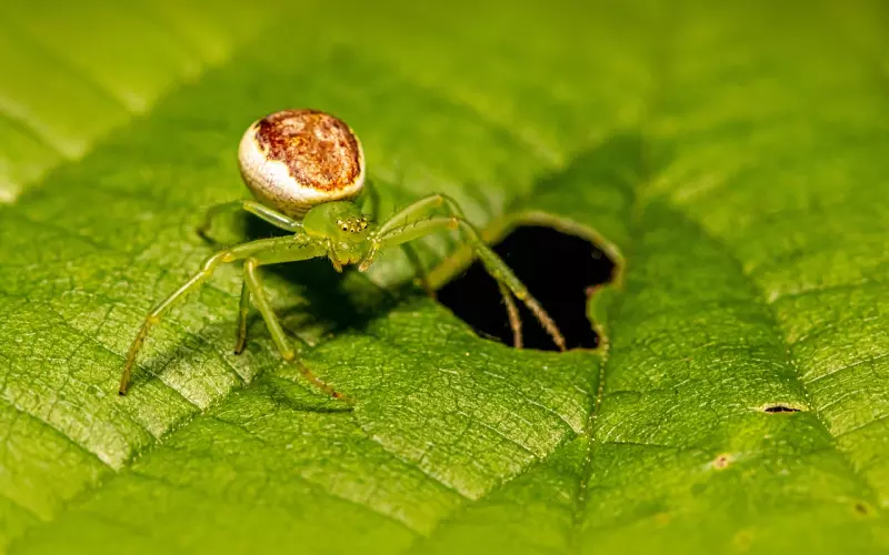 分手如何挽回男朋友？失恋痛苦不堪？学三招避免巨蟹真离开