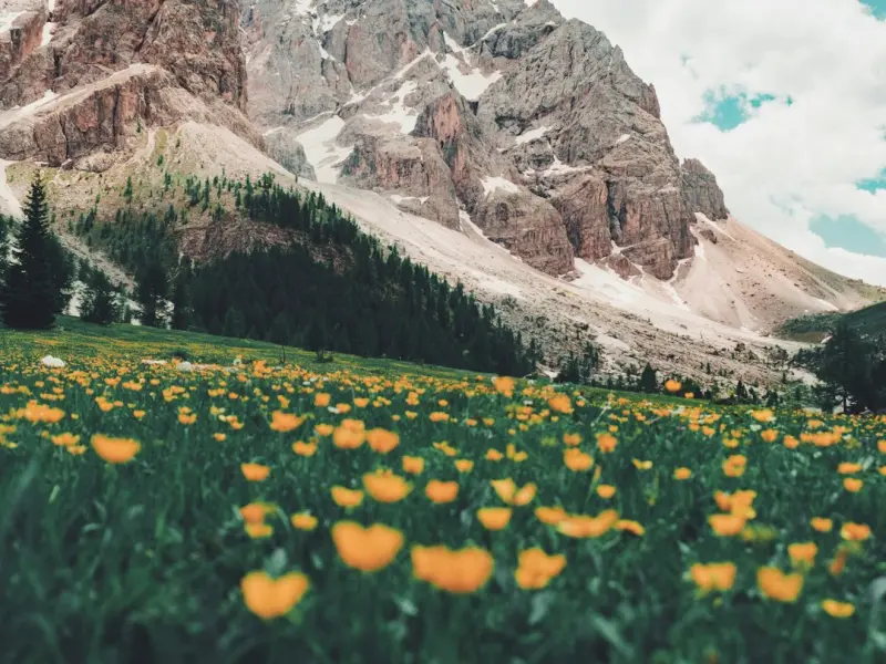 挽回男友方法:金牛座男分手挽回技巧