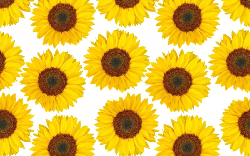 如何正确的挽回男友，你只需要4个方法