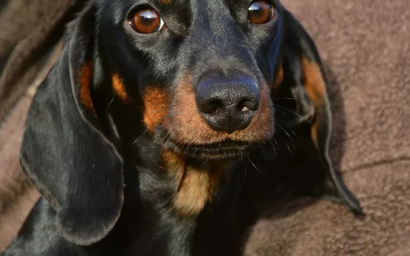 怎么挽回男友的心：跟男友的“信任破产”，该怎么挽回男友的信任