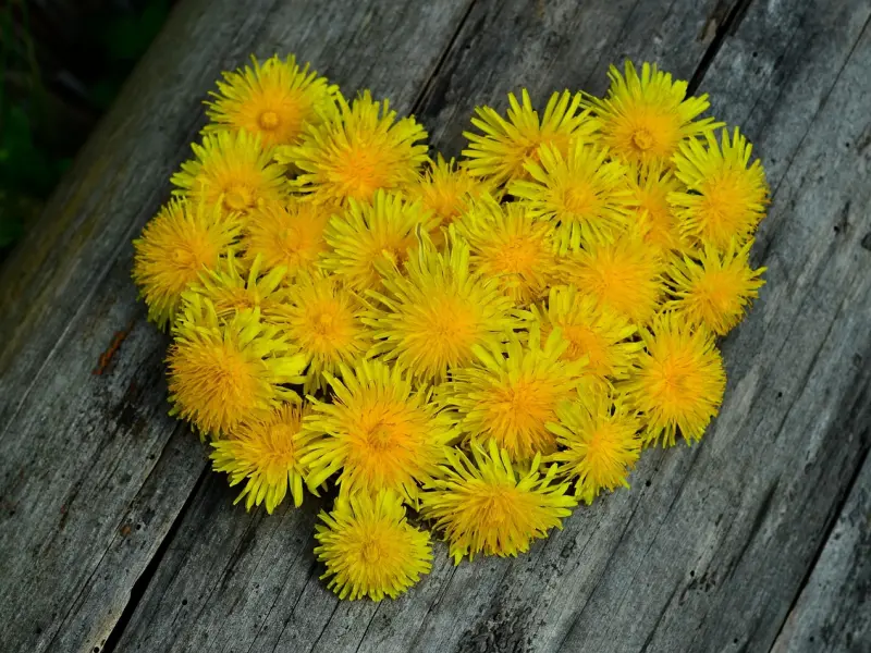 恋爱挽回之挽回男友：如何让男友对你回心转意