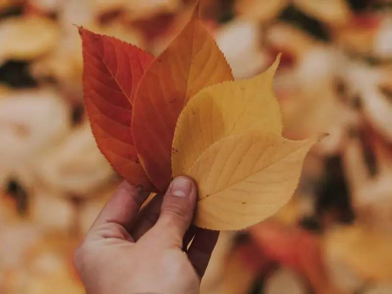 如何挽回男友的方法：挽回男友需时刻保持谨慎，挽回男友的心
