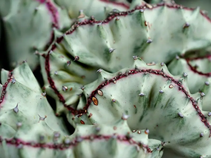 挽回男友如何做：男友觉得感情淡了要分手，该怎么挽回？