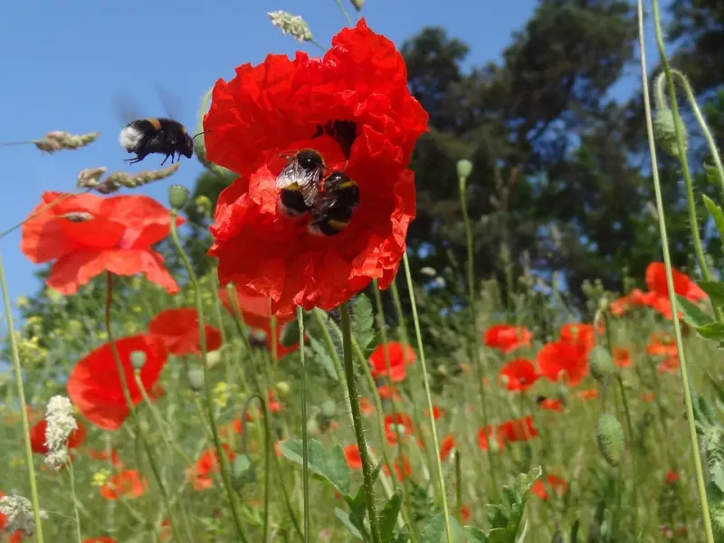 怎么挽回男友的方法：教你几招挽回男友最基本的方法