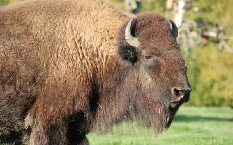 怎么挽回男友策略：挽回男友最明智的方法，挽回男友的心
