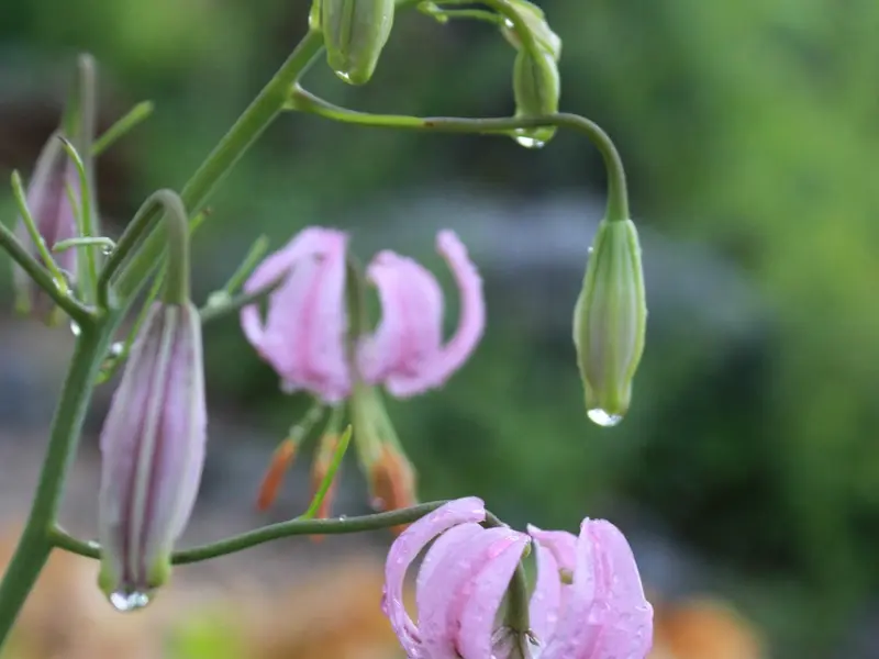 如何挽回男友：变心的男友挽回该怎么做？挽回男友的方法