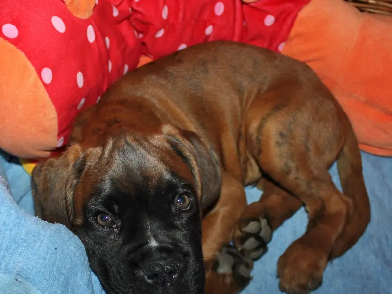 如何挽回男友：男友说累了提出分手，该怎么挽回