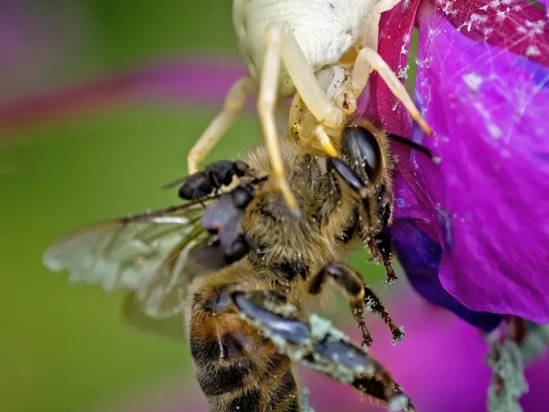 分手后如何挽回男友：想挽回巨蟹座男友应该这样做