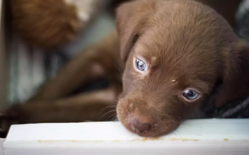 分手后怎么挽回男朋友，采用正确的方法技巧