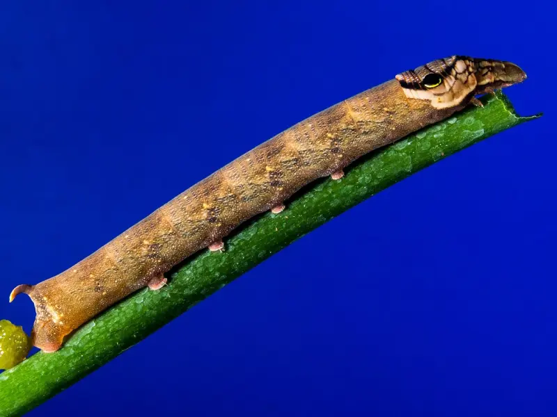 如何挽回男友的方法，挽回前女男的正确做法，教你如何重新吸引他的关注