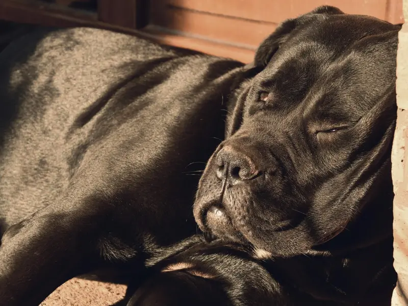 如何挽回男友：男友变了心还能挽回吗