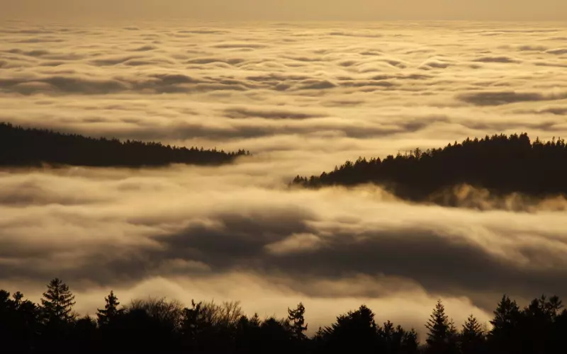 如何挽回男友： 挽回男朋友的必备条件
