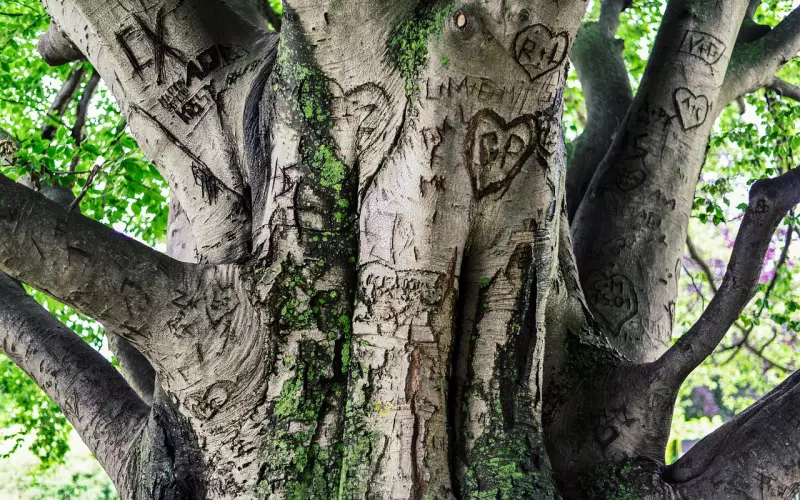 怎么挽回男友，3招重新抓住对方的心，让感情继续延续的方法