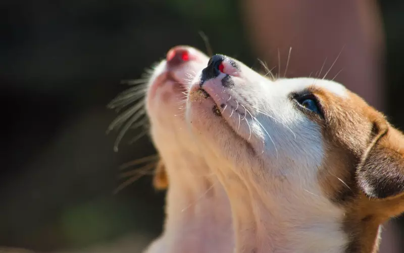 如何挽回男友，让男友乖乖求复合的方法